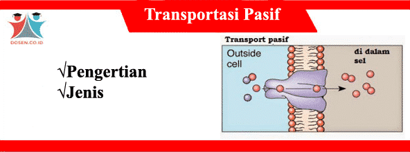 Transportasi Pasif: Pengertian dan Jenis-Jenis Transportasi Pasif