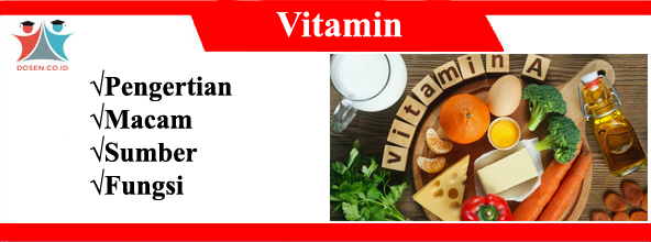 Vitamin: Pengertian, Macam-Macam, Sumber Serta Fungsi Vitamin