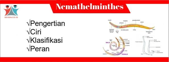 Contoh nemathelminthes parazit pada manusia - Klasifikasi Hewan Invertebrat1