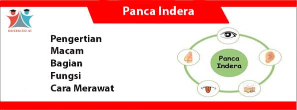 Panca Indera