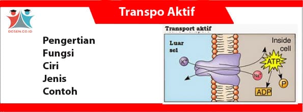 transpor aktif merupakan transport yang