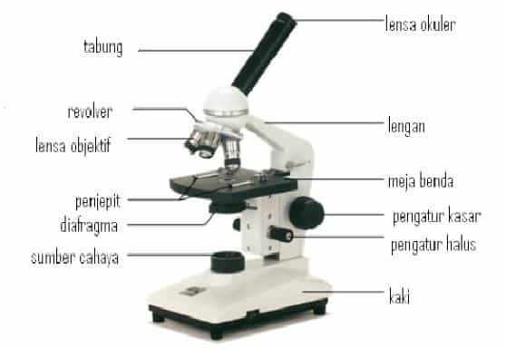 bagian-bagian-mikroskop