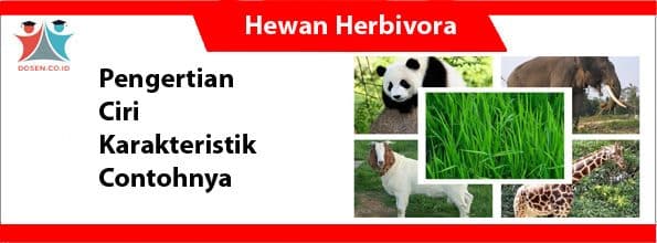 Hewan Herbivora
