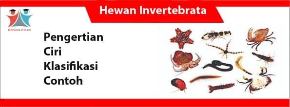 Hewan Invertebrata