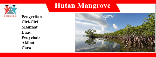 Hutan-Mangrove-adalah
