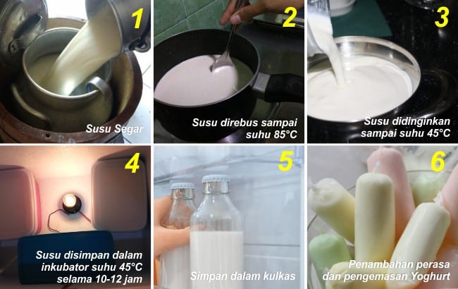 Proses Pembuatan Yoghurt
