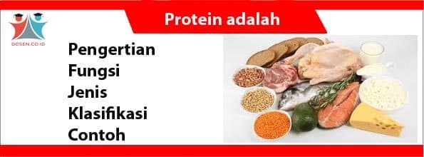 Protein adalah