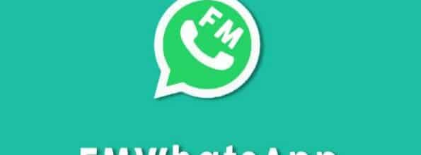 Download FM Whatsapp Versi 9.30 Terbaru Download Apk