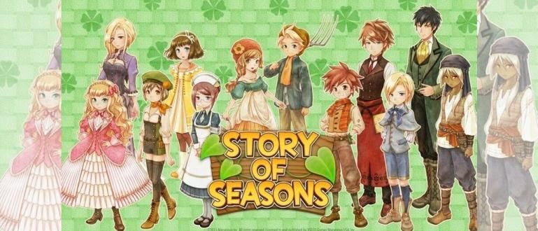 Story of Seasons APK